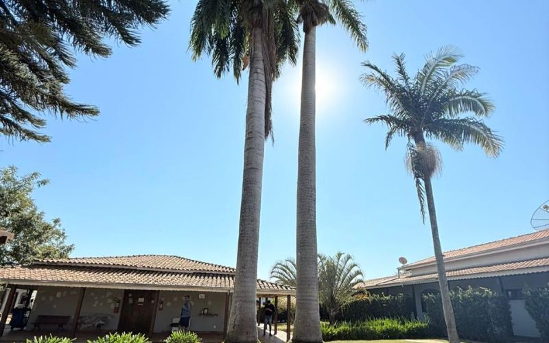 Grupo Hospital Terapêutico em Mogi Guaçu- SP - a21c1e209f2b350ba7536b5ee3ac4ff1.jpg