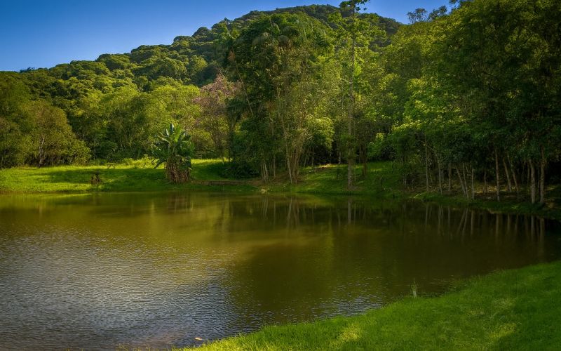 Clínicas de Recuperação Grupo Hospital Terapêutico em Conchal- SP - d4090d315ddd59b02db020e822d90079.jpg