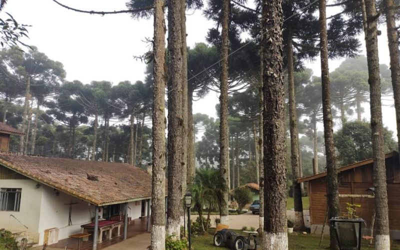 Clínicas de Recuperação Grupo Hospital Terapêutico em Taboão da Serra- SP - e9768a63fc379cfaaff4abd07d3ee096.jpg