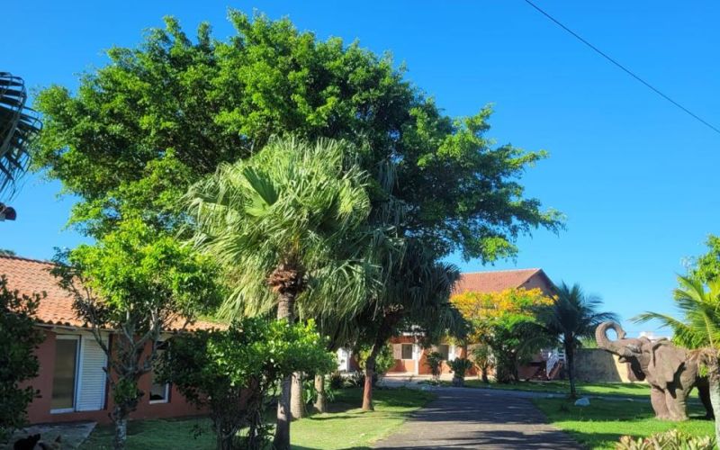Grupo Hospital Terapêutico em Alambari- SP - f6f6dd79a4caceca88aa61c9c6d95ec4.jpg