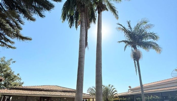 Foto da clínicaGrupo Hospital Terapêutico em Mogi Guaçu- SP